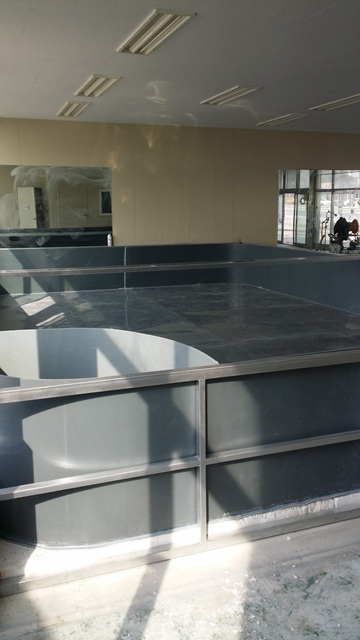 57427d3cc09d252a63f2368e4dba59f5.jpg