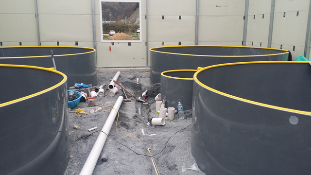 bacb3ce7ea41f15344018bf605a74d3d.jpg