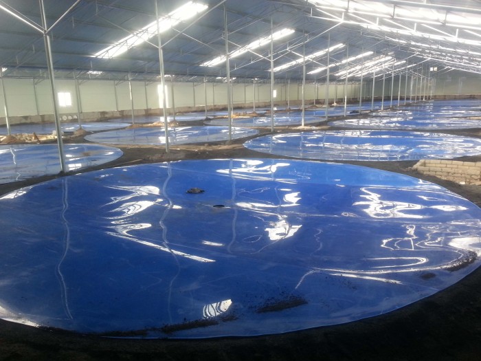 c18550e7289f284119457029623ba952.jpg