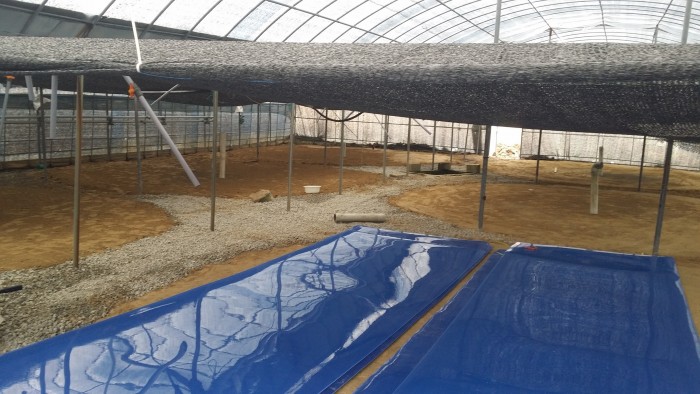 c9c20ea8f3ad3020b7dc4db1c1c2a5c0.jpg