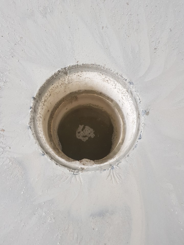 f95d309a6ceaedbc565622fd5150854e_1587810835_9971.jpg