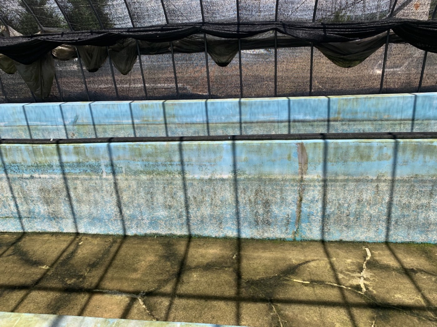 c3585618e5f4078f27ad5fff39c72d13_1664148782_1084.jpg